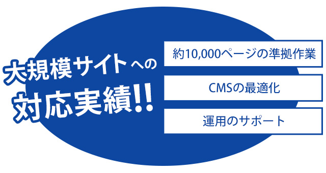 約10,000ページの準拠作業、CMSの最適化、運用のサポートを含む大規模サイトへの対応実績!!